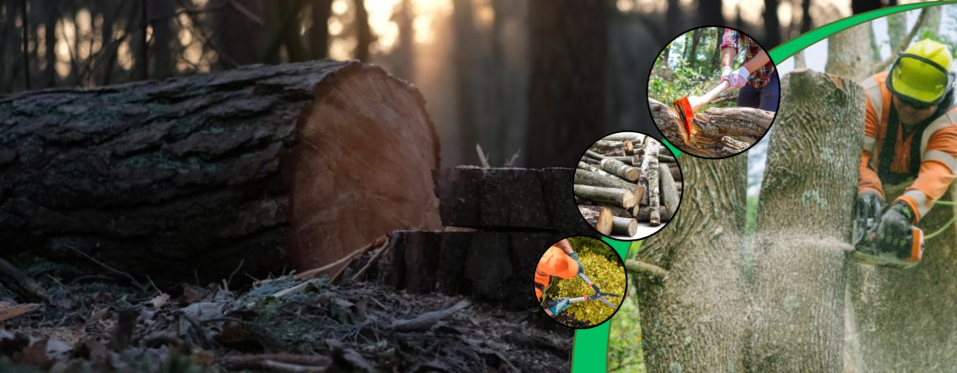 Company Name Slider1