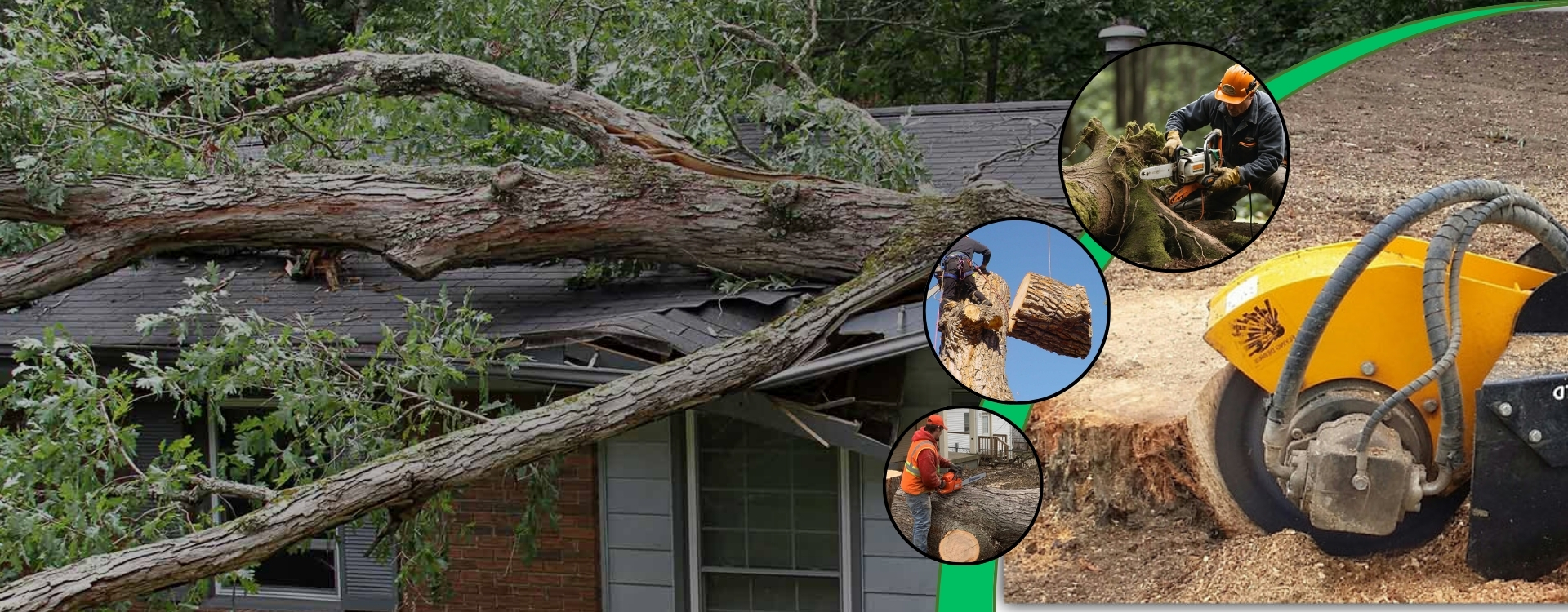 Company Name Slider2