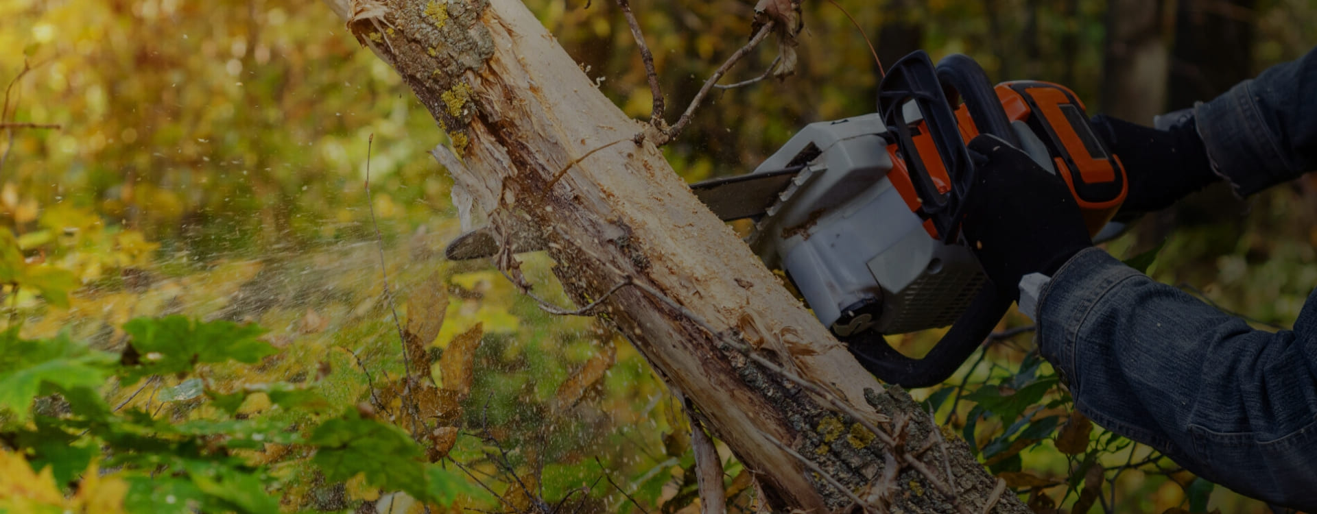 Company Name Slider3